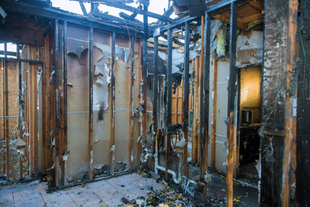 Professional Smoke Damage Removal technician working in Como, WI